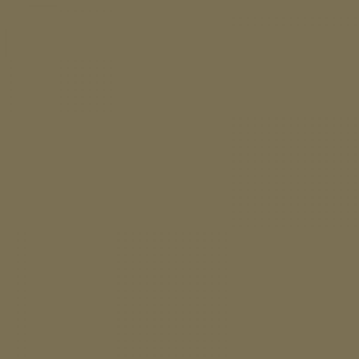 Vallejo 773610 IJA Kare-Kusa, Trockenes Gras, 60 ml