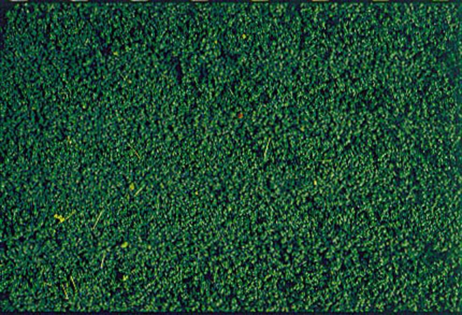 Heki 1603 mikroflor Belaubungsvlies kieferngrün 28x14