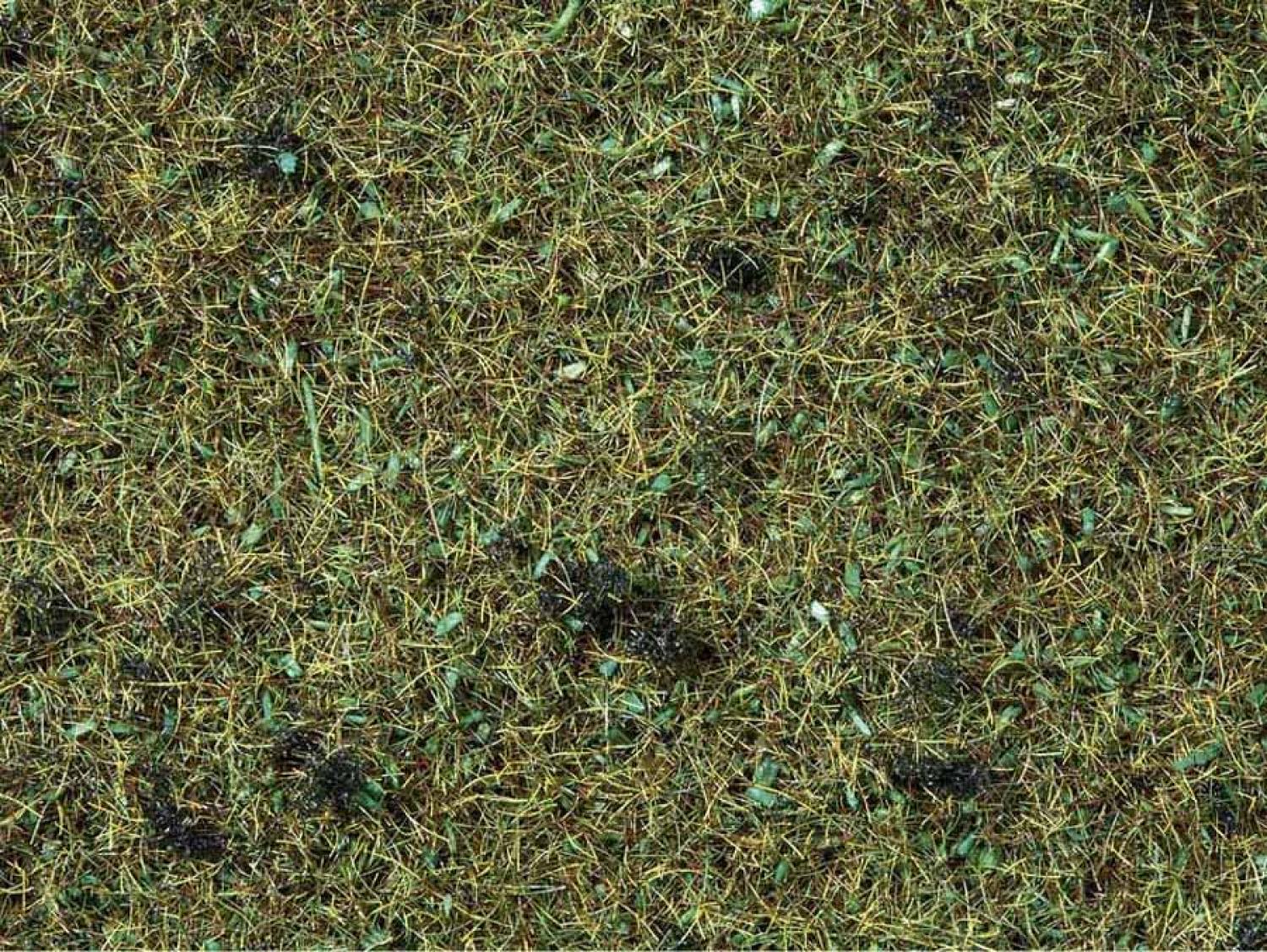 Noch 08157 Streugras “Waldboden” 2,5 mm, 120 g