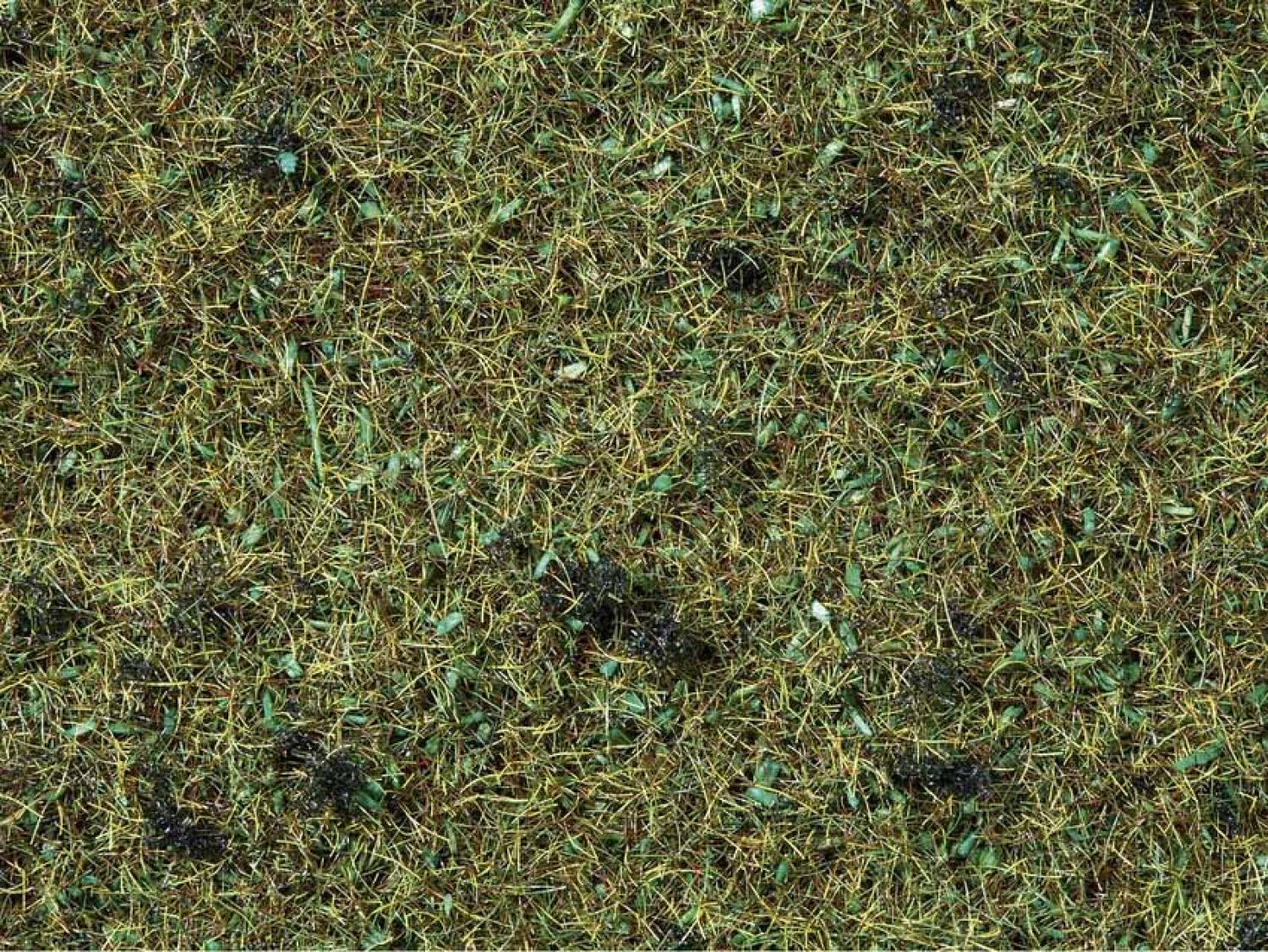 Noch 08350 Streugras “Waldboden” 2,5 mm, 20 g