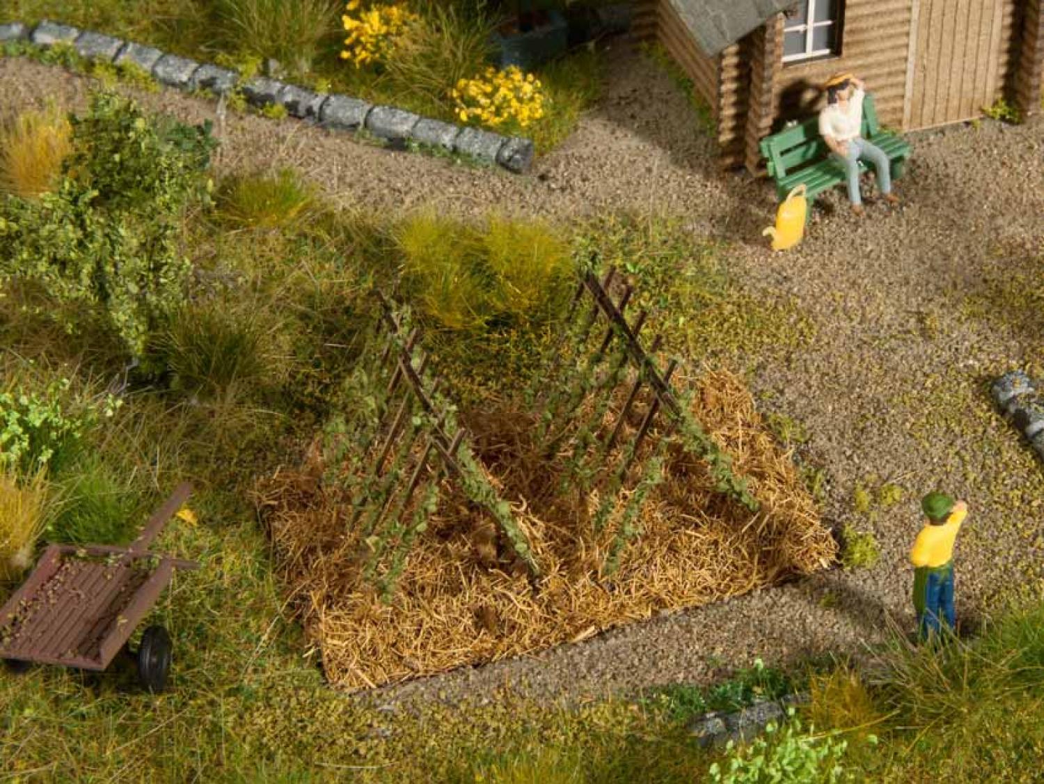 NOCH 13225 Bohnenranken