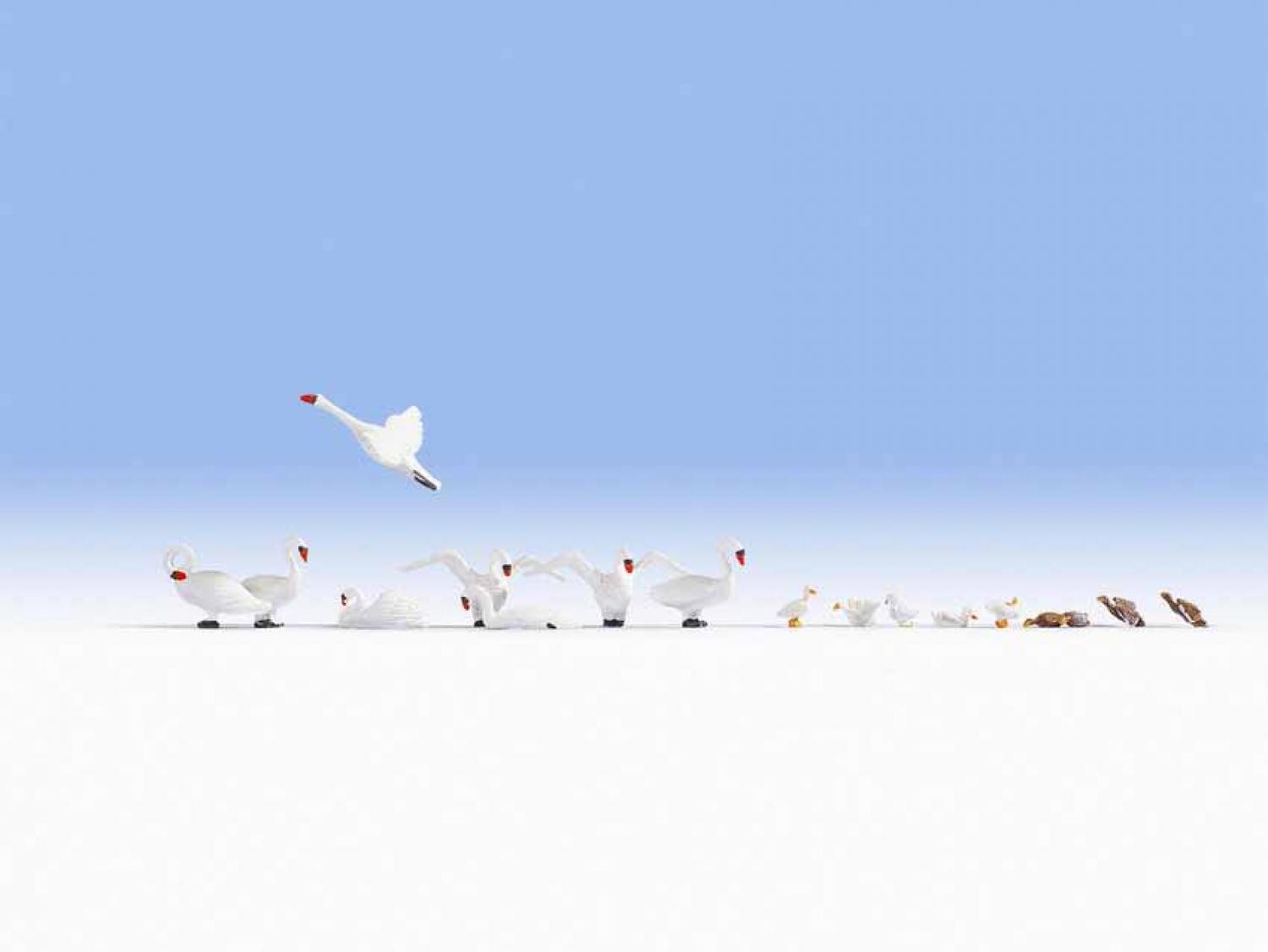 Noch 15774 H0 Schwäne und Enten