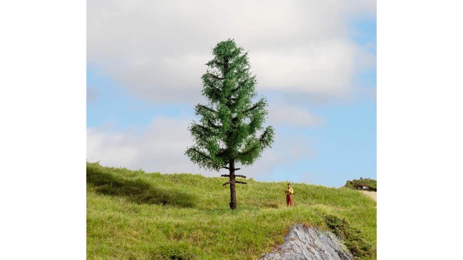 Noch 20195 Profi-Hochstammfichte 14 cm