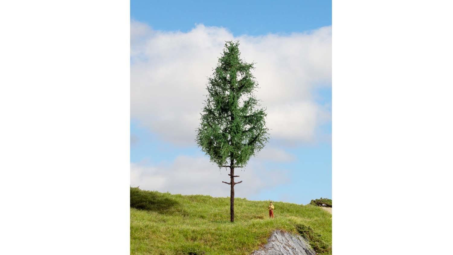 Noch 20196 Profi-Hochstammfichte 21cm