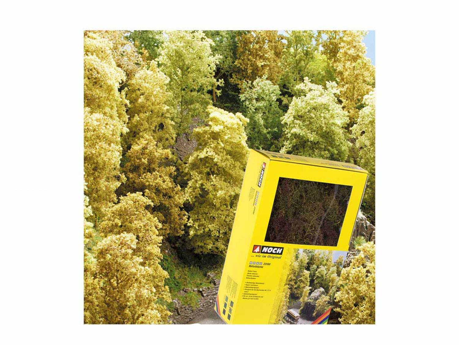Noch 23100 Natur-Bäume