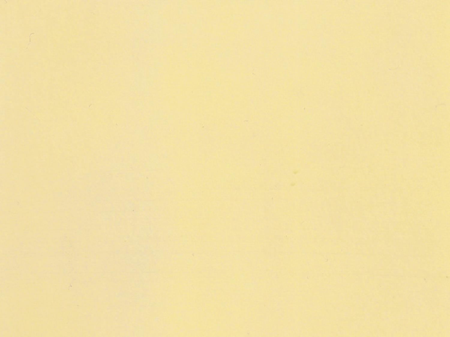 Noch 61191 Acrylfarbe, matt, elfenbein