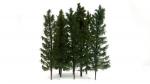 Baumset Profi-Line (Tannen/Fichten) 8 Stück