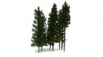 Baumset Profi-Line (Tannen/Fichten) 8 Stück