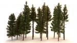 MZR Baumset Profi-Line (Tannen/Fichten) 16 Stück