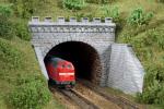 Auhagen 13277 Tunnelportale zweigleisig  TT