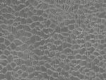 Auhagen 52427 H0/TT/N Dekorplatte Naturstein grau