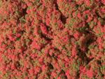 Auhagen 76932 Blumenmatte rot   Ca. 95 x 150 mm