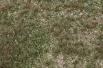 Faller 180479 Landschafts-Segment Wildkräuterwiese
