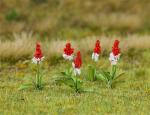Faller 181267 32 Orchideenprimeln