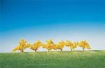 Faller 181475 6 Forsythien, gelb blühend