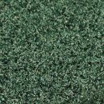 Heki 1689 Blattlaub weidengrün, 200 ml