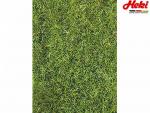 Heki 3377 Gras XL Sommer, 50 g, 10 mm