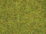 Noch 50190  Streugras “Sommerwiese” 2,5 mm, 100 g